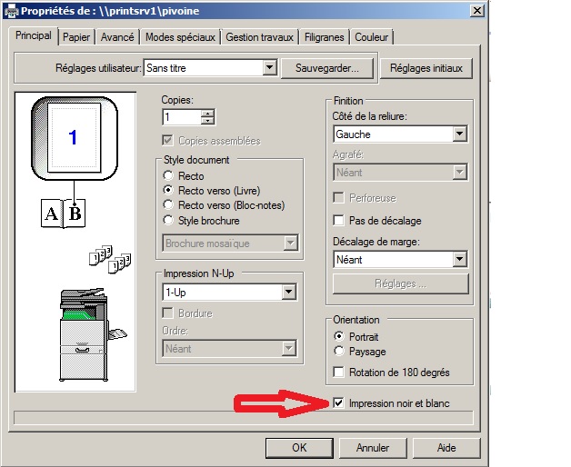 Imprimer en noir et blanc ou en couleur?